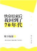 快穿结束后我回到了70年代封面